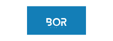 Bor Holding